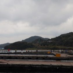 淡路じゃのひれフィッシングパーク 釣果