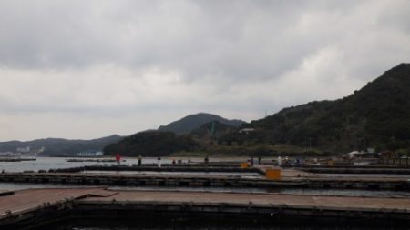 淡路じゃのひれフィッシングパーク 釣果