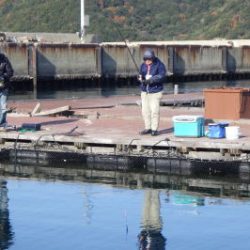 淡路じゃのひれフィッシングパーク 釣果