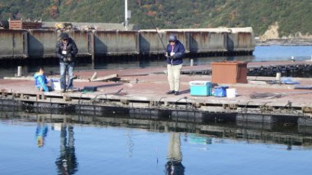 淡路じゃのひれフィッシングパーク 釣果