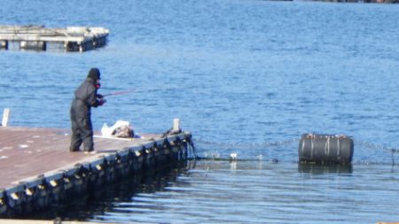 淡路じゃのひれフィッシングパーク 釣果