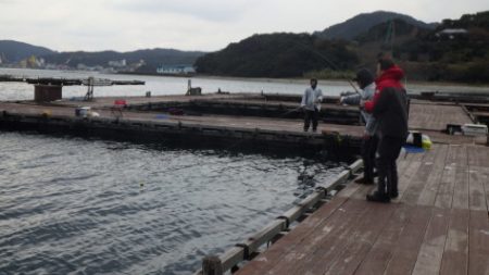 淡路じゃのひれフィッシングパーク 釣果