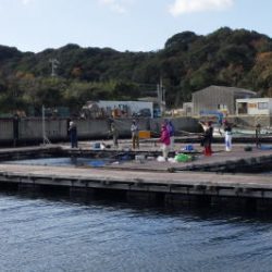 淡路じゃのひれフィッシングパーク 釣果