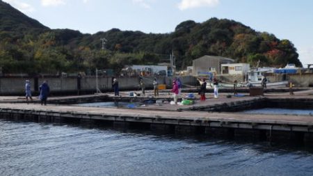 淡路じゃのひれフィッシングパーク 釣果