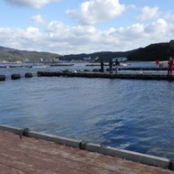 淡路じゃのひれフィッシングパーク 釣果