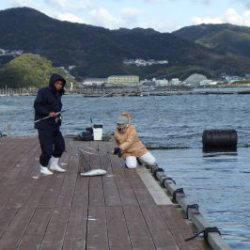 淡路じゃのひれフィッシングパーク 釣果