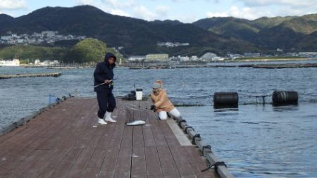 淡路じゃのひれフィッシングパーク 釣果