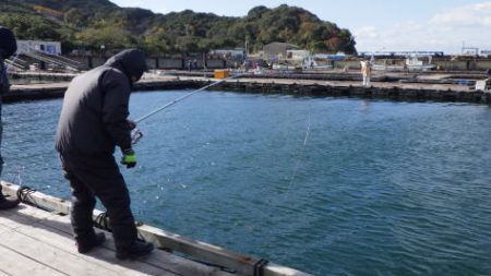 淡路じゃのひれフィッシングパーク 釣果