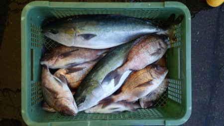 淡路じゃのひれフィッシングパーク 釣果