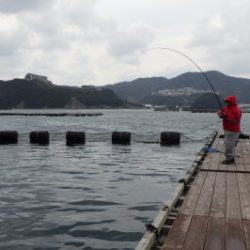 淡路じゃのひれフィッシングパーク 釣果