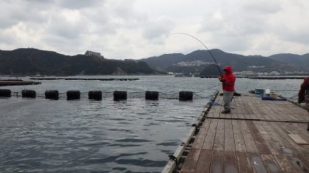 淡路じゃのひれフィッシングパーク 釣果