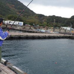 淡路じゃのひれフィッシングパーク 釣果