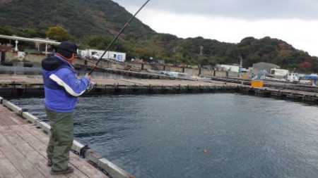 淡路じゃのひれフィッシングパーク 釣果