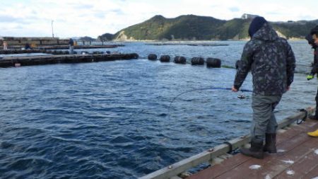 淡路じゃのひれフィッシングパーク 釣果