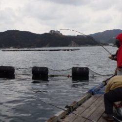 淡路じゃのひれフィッシングパーク 釣果