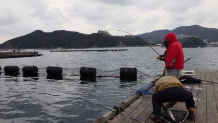 淡路じゃのひれフィッシングパーク 釣果
