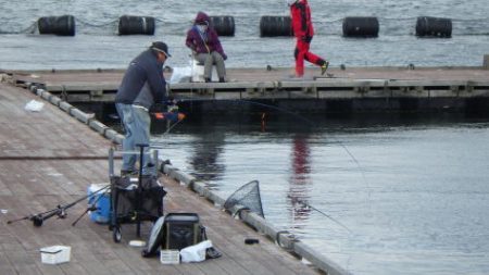淡路じゃのひれフィッシングパーク 釣果