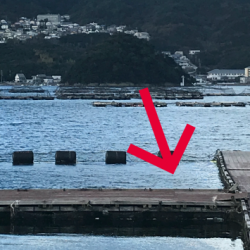 淡路じゃのひれフィッシングパーク 釣果