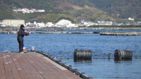淡路じゃのひれフィッシングパーク 釣果