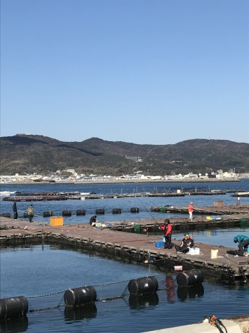 淡路じゃのひれフィッシングパーク 釣果