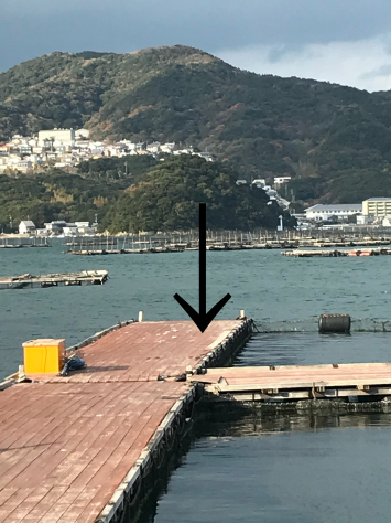 淡路じゃのひれフィッシングパーク 釣果