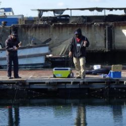 淡路じゃのひれフィッシングパーク 釣果