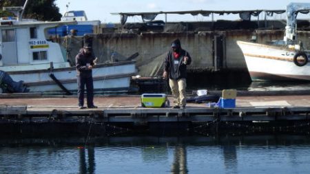 淡路じゃのひれフィッシングパーク 釣果