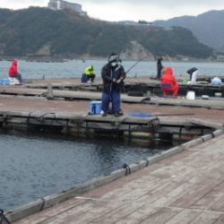 淡路じゃのひれフィッシングパーク 釣果