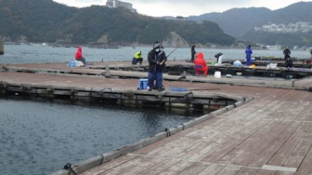 淡路じゃのひれフィッシングパーク 釣果