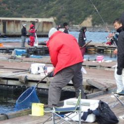 淡路じゃのひれフィッシングパーク 釣果