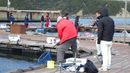 淡路じゃのひれフィッシングパーク 釣果