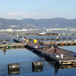淡路じゃのひれフィッシングパーク 釣果