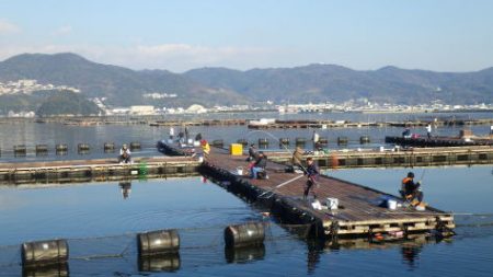 淡路じゃのひれフィッシングパーク 釣果