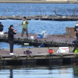 淡路じゃのひれフィッシングパーク 釣果