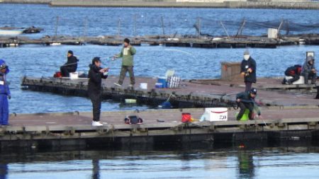 淡路じゃのひれフィッシングパーク 釣果