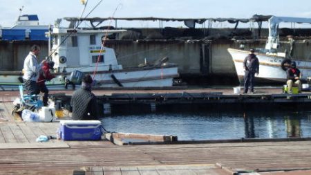 淡路じゃのひれフィッシングパーク 釣果