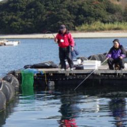 淡路じゃのひれフィッシングパーク 釣果