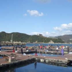 淡路じゃのひれフィッシングパーク 釣果