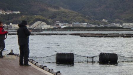 淡路じゃのひれフィッシングパーク 釣果