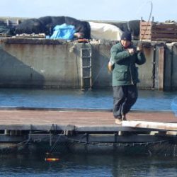 淡路じゃのひれフィッシングパーク 釣果