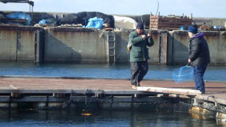 淡路じゃのひれフィッシングパーク 釣果