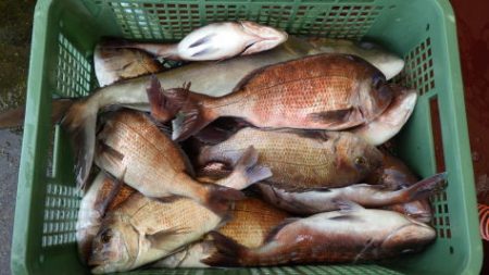 淡路じゃのひれフィッシングパーク 釣果