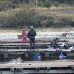 淡路じゃのひれフィッシングパーク 釣果