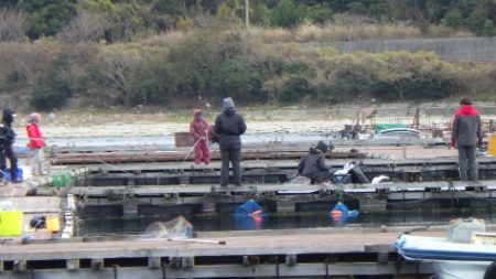 淡路じゃのひれフィッシングパーク 釣果