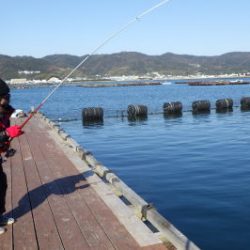 淡路じゃのひれフィッシングパーク 釣果