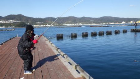 淡路じゃのひれフィッシングパーク 釣果