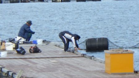 淡路じゃのひれフィッシングパーク 釣果