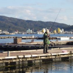 淡路じゃのひれフィッシングパーク 釣果