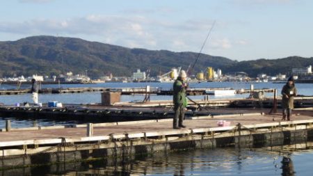 淡路じゃのひれフィッシングパーク 釣果