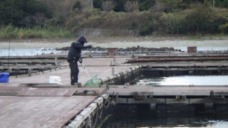 淡路じゃのひれフィッシングパーク 釣果